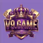 V9 Game